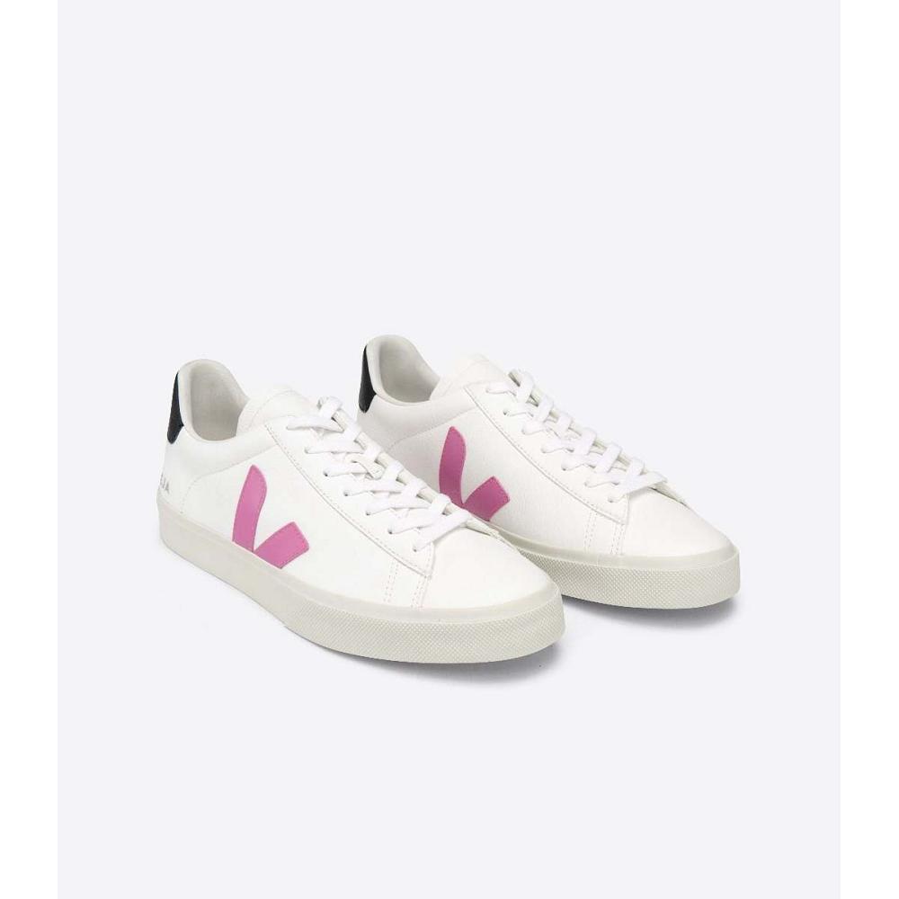 Low Tops Sneakers γυναικεια Veja CAMPO CHROMEFREE White/Purple | GR 597FDN